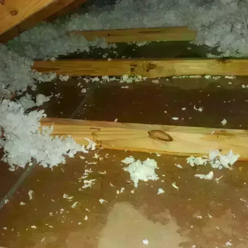 Attic Water Damage in Madison, WI