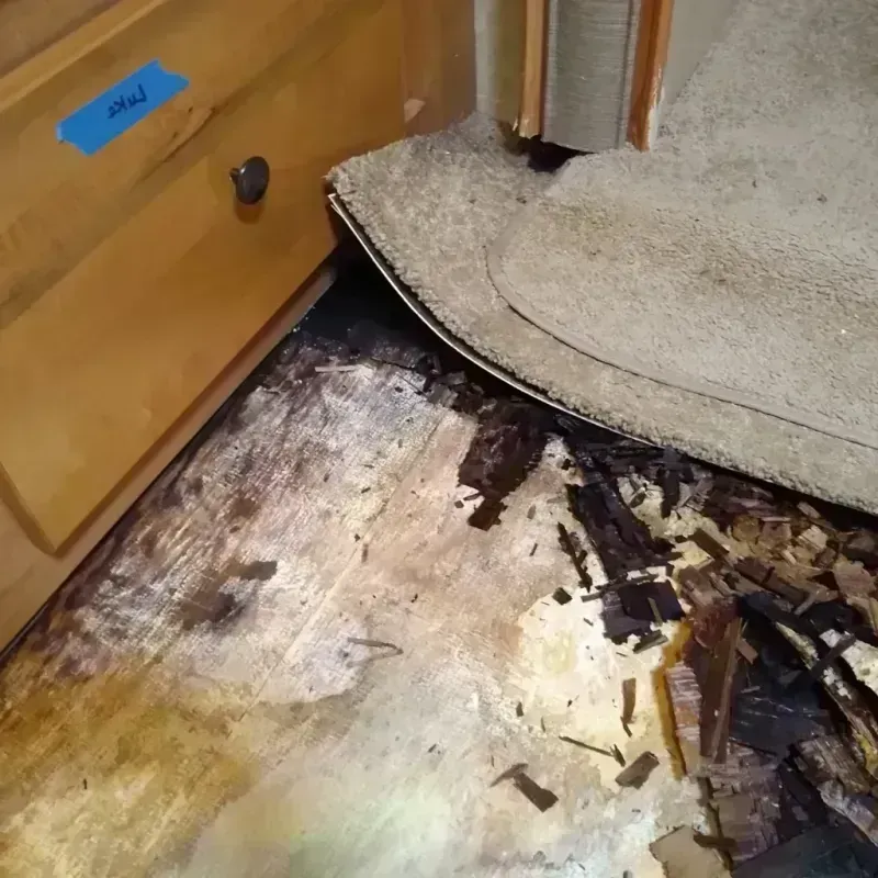 Wood Floor Water Damage in Madison, WI